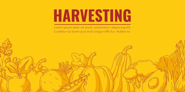 Vector harvesting vegetables horizontal minimalist vector banner isolated yellow background space