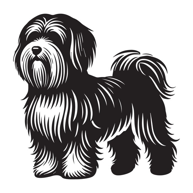 Vector havanese dog silhouette design dog clipart vector illustration in black and white