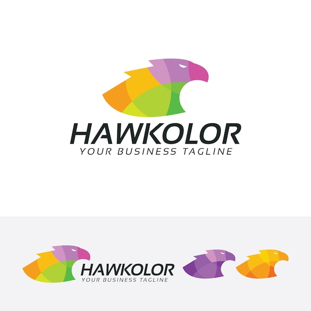 Hawk color logo template