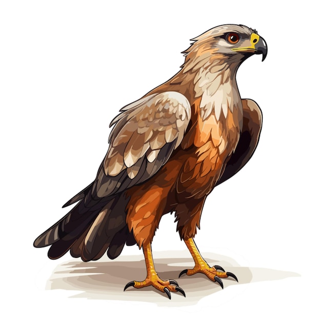 Hawk vector on white background