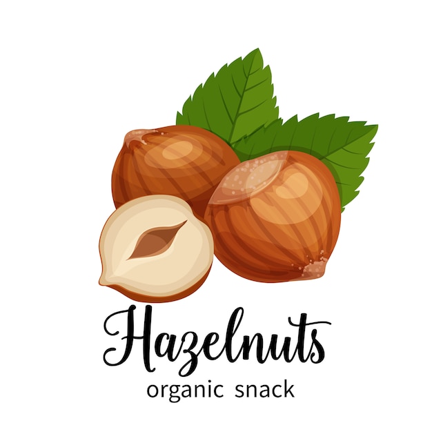 Hazelnut in cartoon style