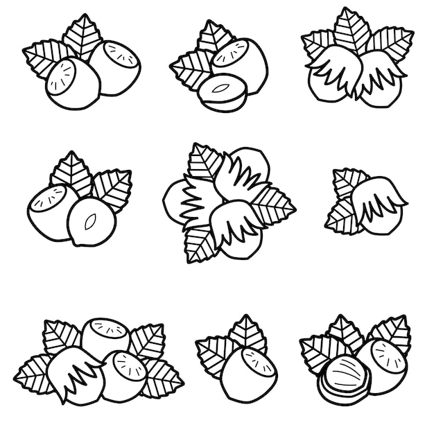 Hazelnut nuts set Collection icon hazelnut nuts Vector