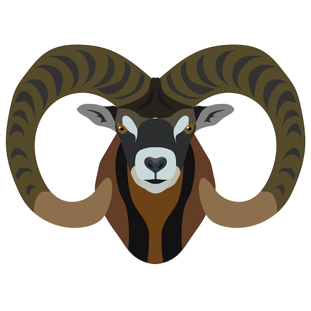 The head of a mountain sheep Portrait of small cattle Isolated on a white background Design element for logo poster card banner emblem tshirt Vector illustration