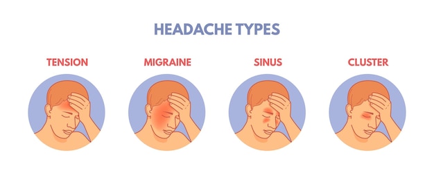 Headache types Headaches areas infographic diagram medical poster brain pain in head sinus migraine tension or cluster anatomy part of hospital patient vector illustration of pain head and headache