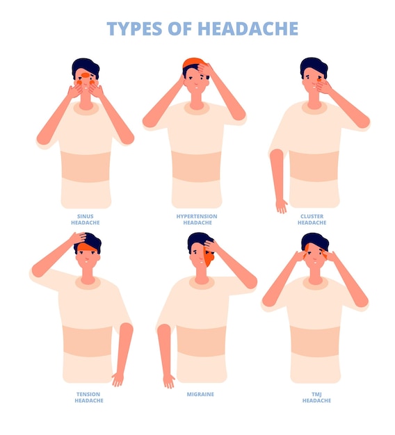 Headache types Sick nerve areas different isolated pain of head and causes Hospital poster warning sinusitis disease utter vector infographic