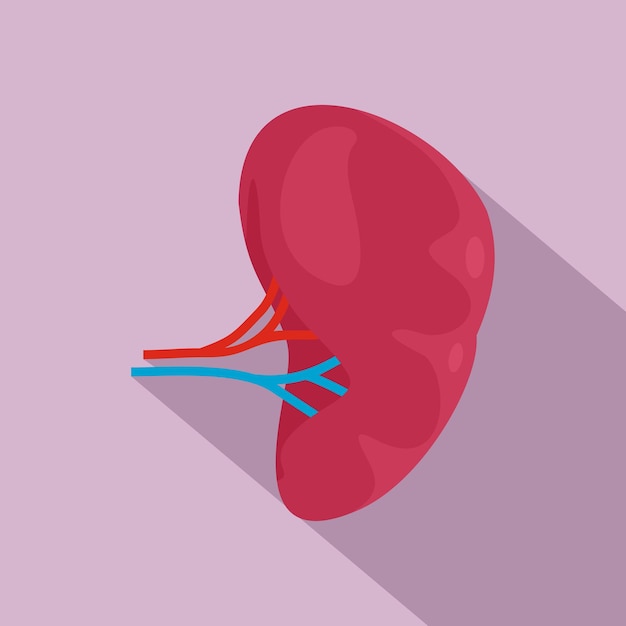 Health kidney icon Flat illustration of health kidney vector icon for web design