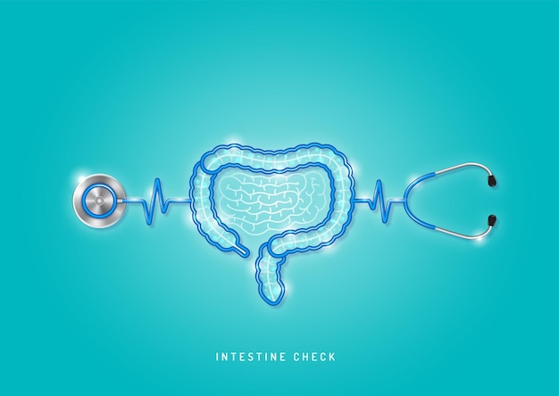 Healthcare and medical stethoscope shape intestine and checkup all organs for good health