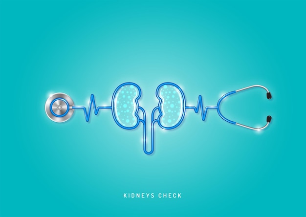 Healthcare and medical stethoscope shape kidneys and checkup all organs for good health