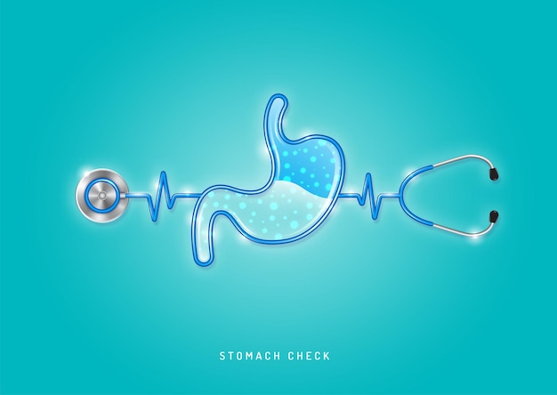 Healthcare and medical stethoscope shape stomach and checkup all organs for good health