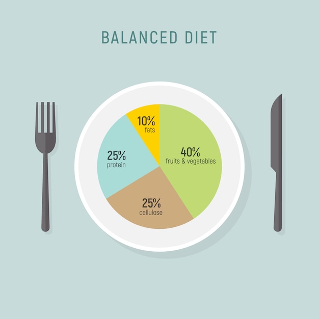 Healthy diet food balance nutrition plate Vector health meal chart infographic diet plan concept