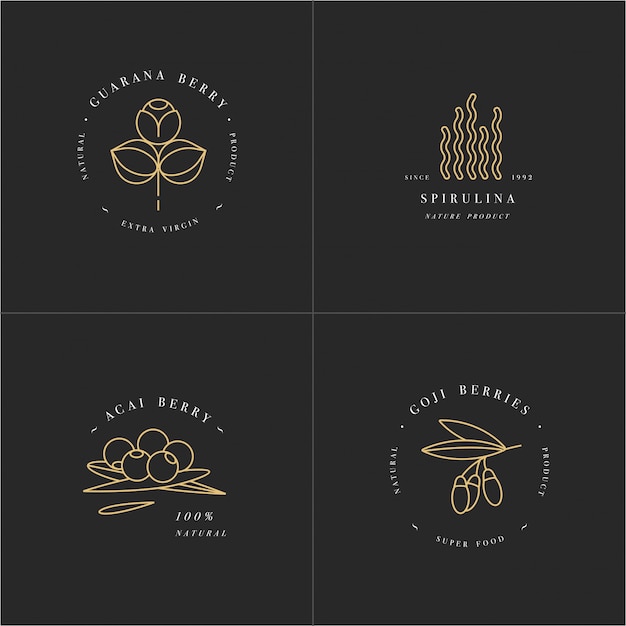 healthy eco food logo template