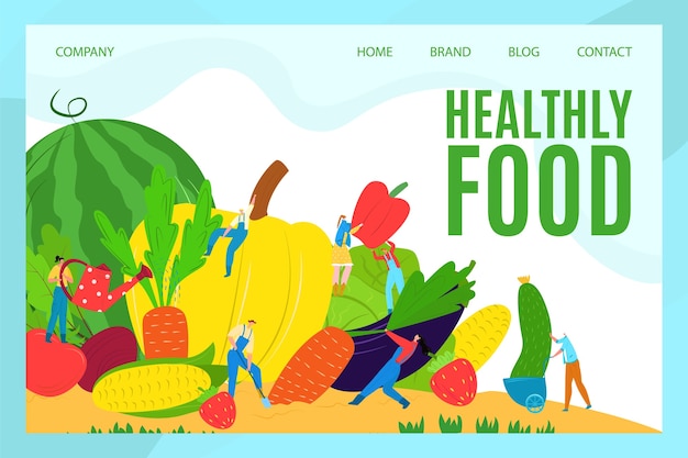 Healthy food landing page concept