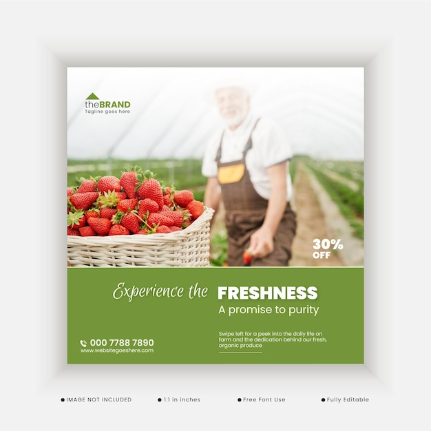 Vector healthy fresh organic grocery vegetable social media post template