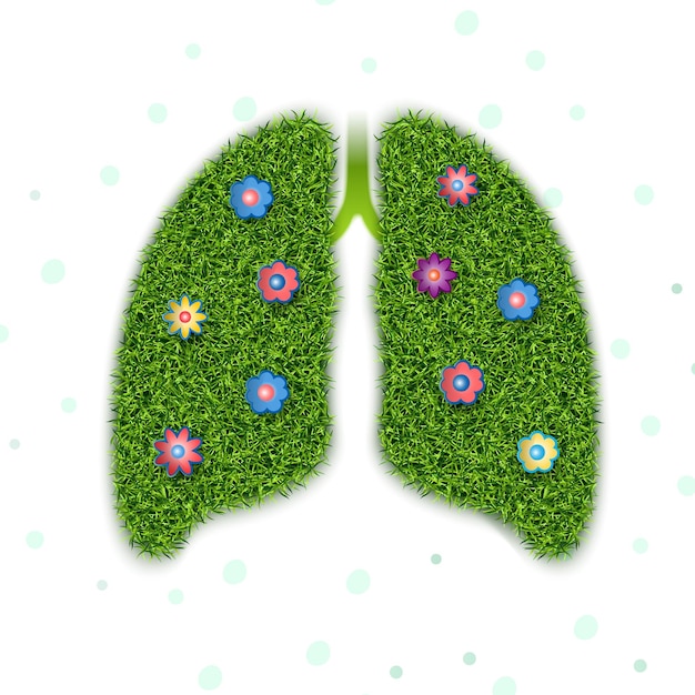 Healthy lungs  symbolic image with grass texture and flowers on a white background Vector graphics