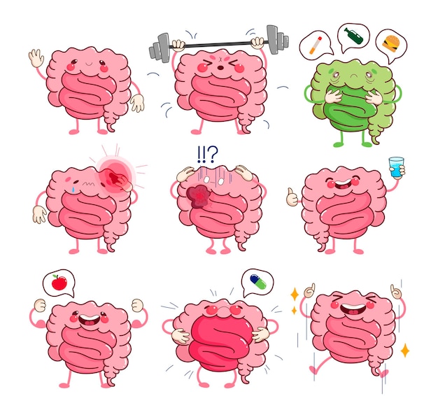 Healthy and sick intestine character cartoon illustration set