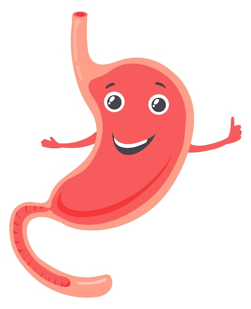 Healthy stomach mascot Happy cartoon human organ