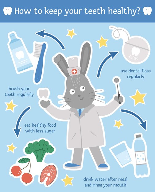 Vector healthy teeth habits illustration cute dentist infographics for kids vector funny card template with smiling doctor rabbit dental care picture for children dentist baby clinic brochure design