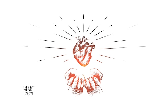 Heart concept illustration