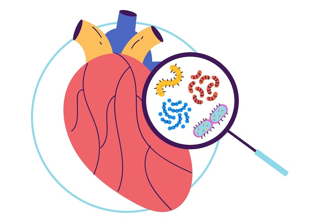 Heart internal organ diagnostics medical professional science concept graphic design element