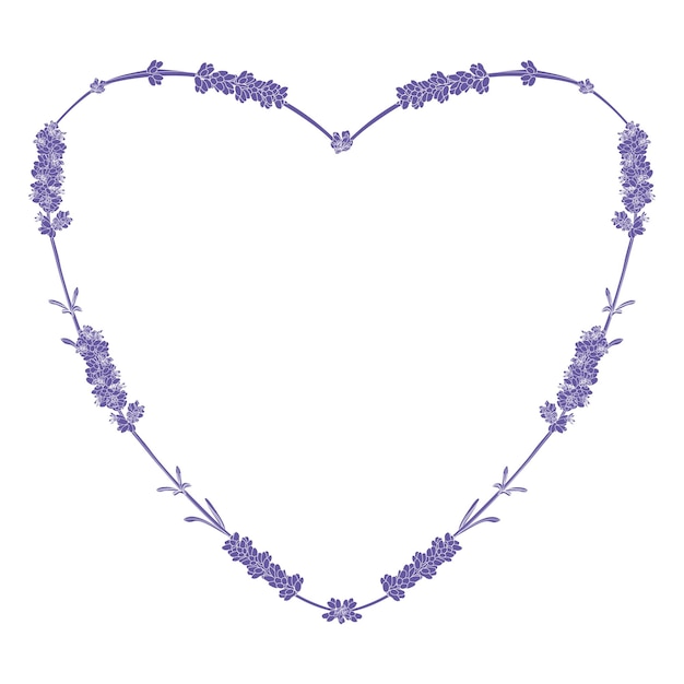 Heartshaped vector frame made of lavender twigs in lilac