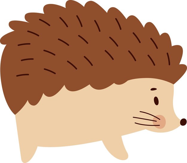 Hedgehog Animal Standing