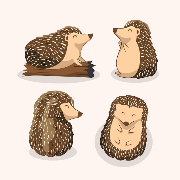 Hedgehog Cartoon Porcupine Set 