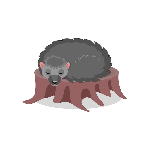 Hedgehog sleeping on a tree stump cute animal cartoon character vector Illustration isolated on a white background