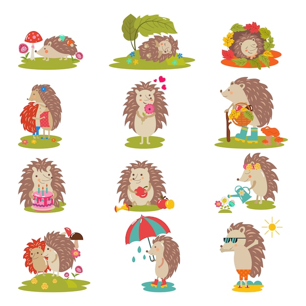 Hedgehog vector cartoon prickly animal character child with love heart in nature wildlife illustration set of hedgehog-tenrec sleeping or playing in forest isolated.