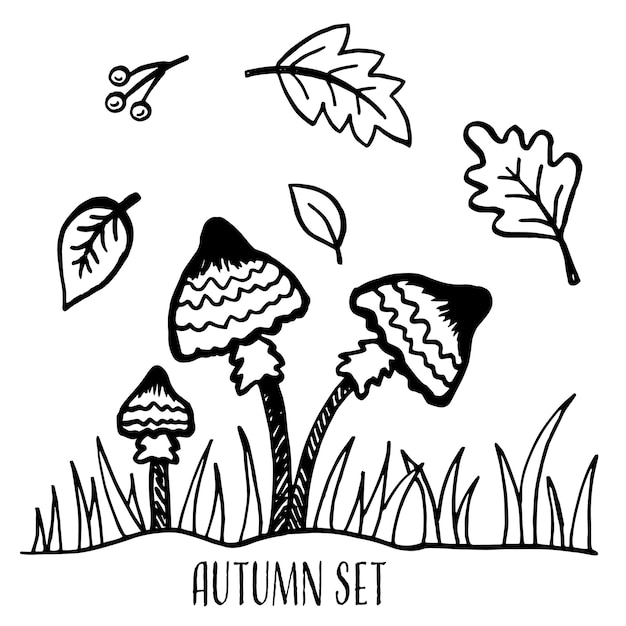 Hello Autumn Autumn harvest symbols Set of autumn elements leaves berries and mushroom Hand drawn sketch Vector illustration in doodle style