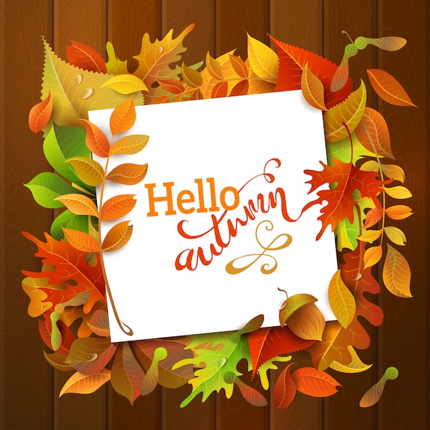 Hello Autumn Background. Bright colourful autumn birch, elm, oak, rowan, maple, chestnut, aspen leaves, and acorns on wood background. White square sheet of paper