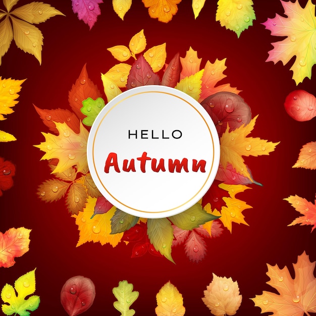 Hello autumn background with bright autumn leaves Vector illustration