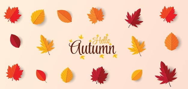 Hello Autumn background with lettering and autumn maple leaves Premium Vector