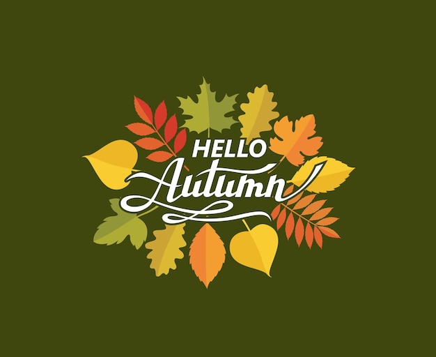 hello autumn lettering pattern with woody leaves