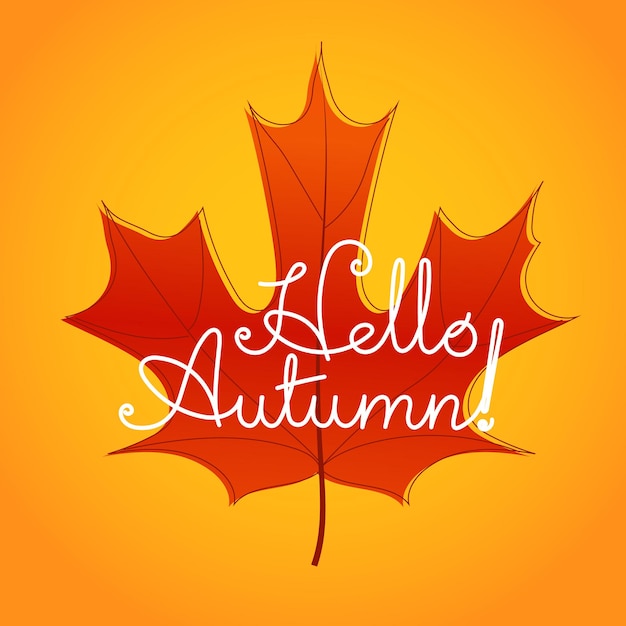 Hello autumn logo. Color maple leaf vector illustration