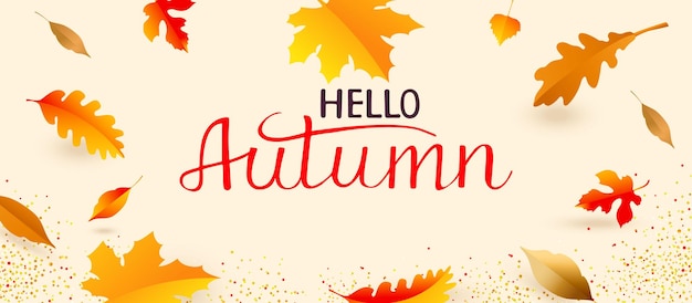 Hello Autumn Minimal background with autumn yellow orange leaves Autumn leaves for the design of banners posters advertising postcards sales Vector