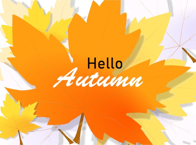 Hello autumn on orange maple leaf background Vector Illustration eps 10