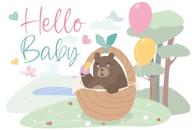 Hello baby concept background Cute bear cub boy or girl holding pacifier and sitting in basket