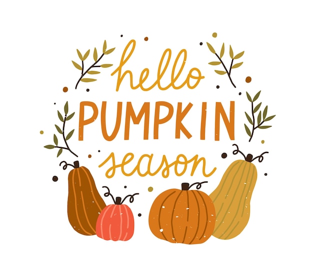 Hello pumpkin season cute colorful composition with quote inscription vector flat illustration. Colorful autumn hand drawn lettering decorated with design elements isolated. Creative fall phrase.