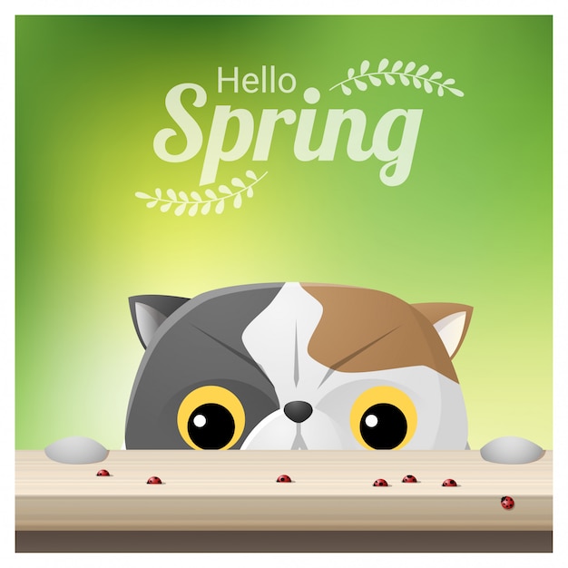 Hello Spring background with a cat looking at ladybugs