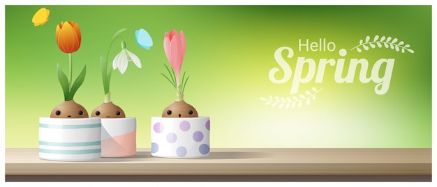 Hello Spring background with flower Crocus, Tulip, Snowdrop