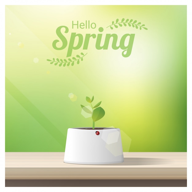 Hello Spring background with young sprout