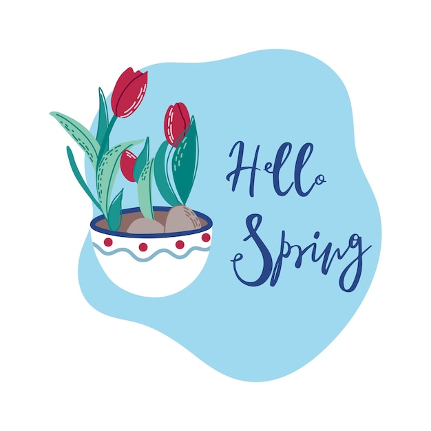 Hello spring card. Beautiful Spring flowers in flowerpot. Spring print with flowers and lettering.