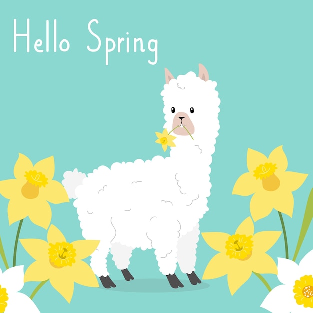 Hello spring card with alpaca