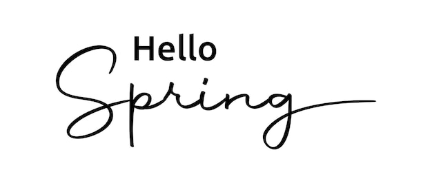 Hello Spring phrase continuous one line calligraphy with white Background