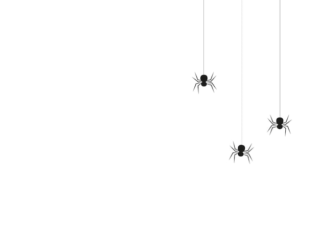 Vector helloween spiders and web in flat style vector illustration