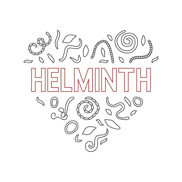 Helminth vector concept heart shaped minimal banner or illustration