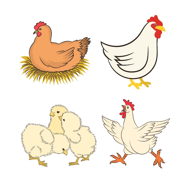 Hen cartoon character in different poses