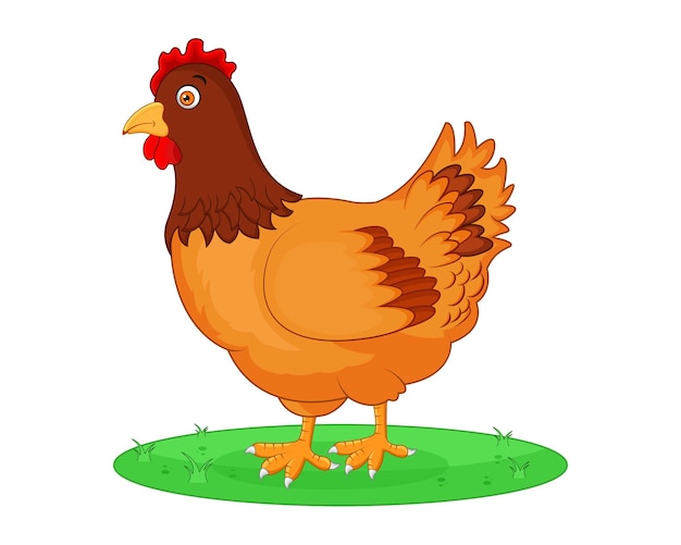 Hen cartoon vector on white background