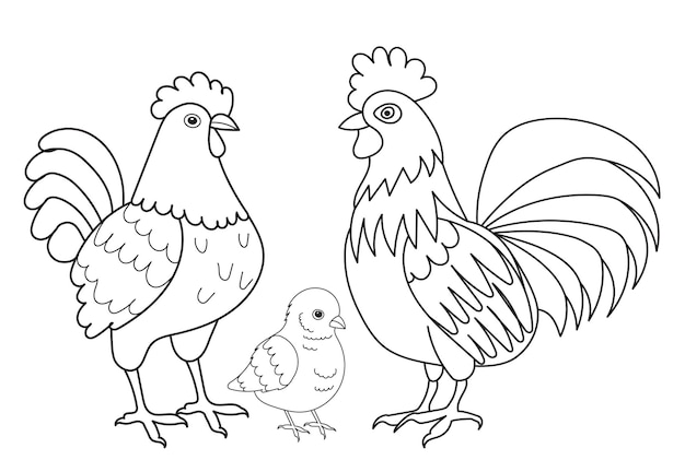 Hen chick rooster character coloring book isolated vector