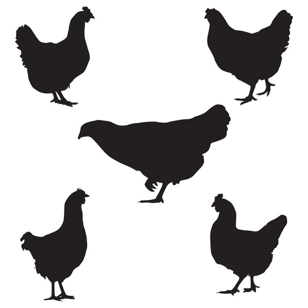 hen chicken silhouette set